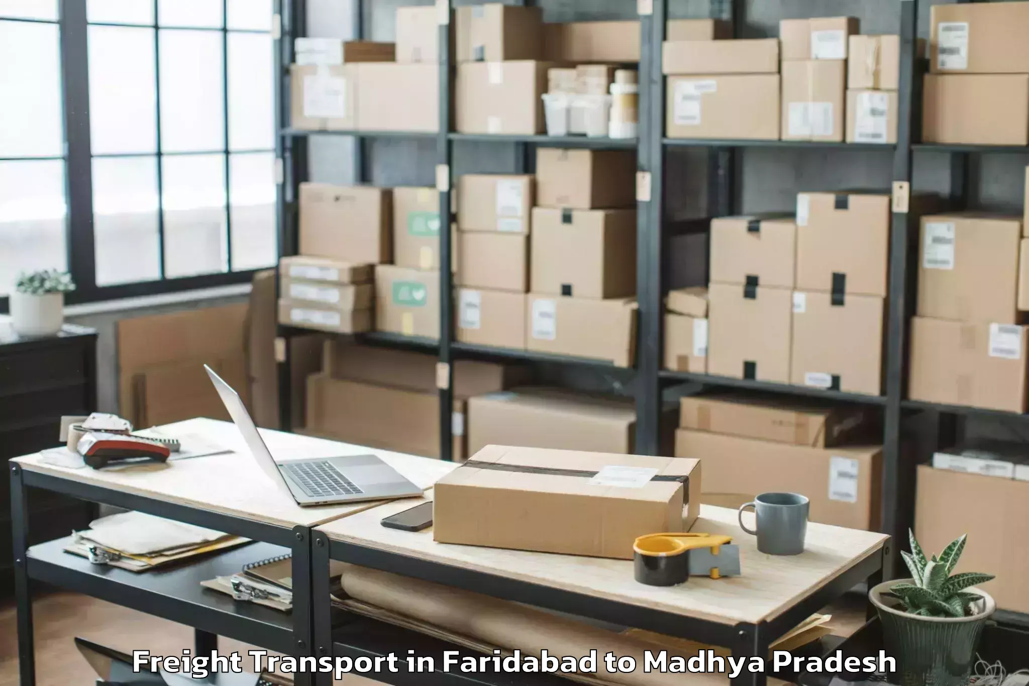 Faridabad to Lateri Freight Transport